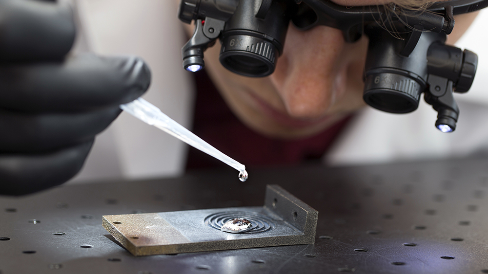 在Maestro实验室工作的学生