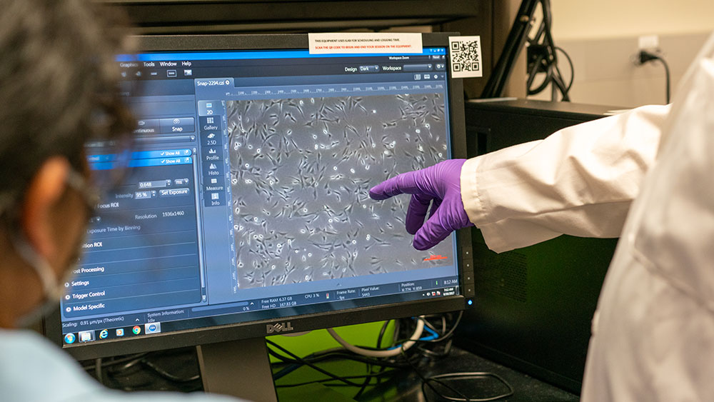 戴着手套的紫色手指着电脑屏幕