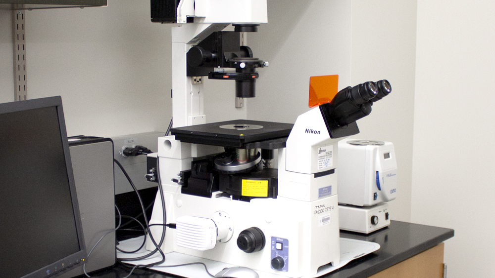 尼康荧光显微镜