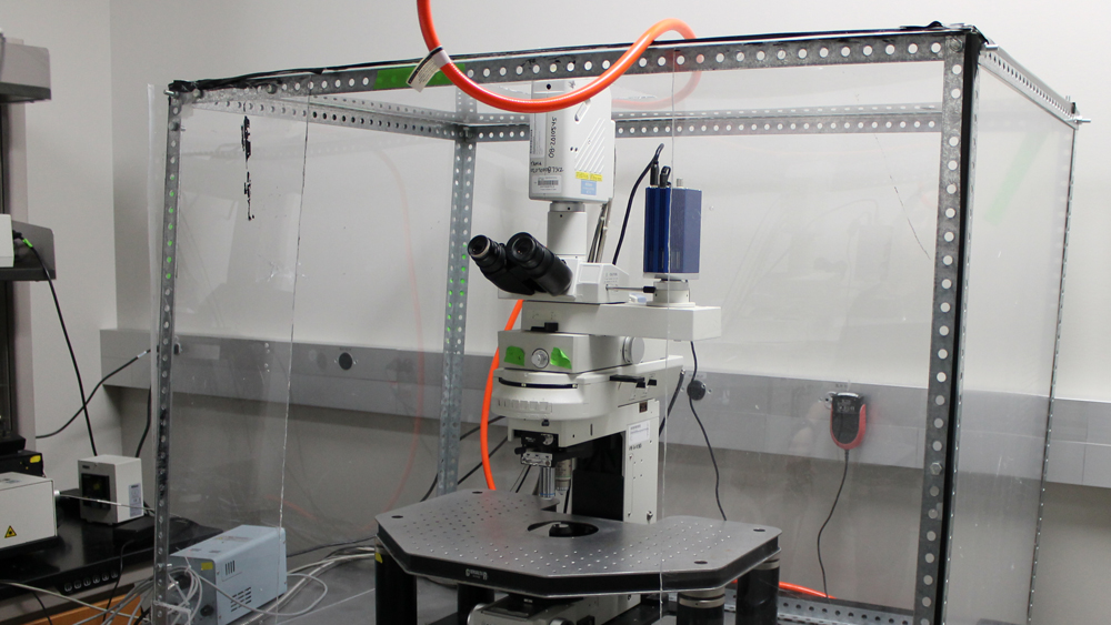 实验室中的尼康EZC1共聚焦显微镜