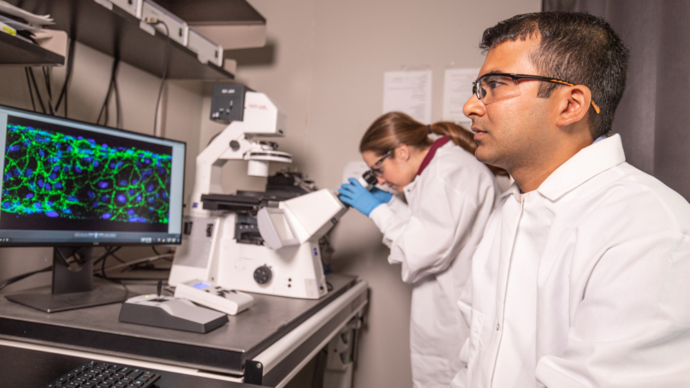 两个学生在实验室里看着成像设备。