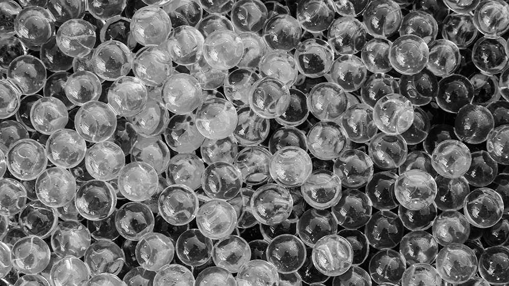 Texas A&M researchers have shown that when microporous annealed particle hydrogels degrade, stems cells grow, spread and form networks.