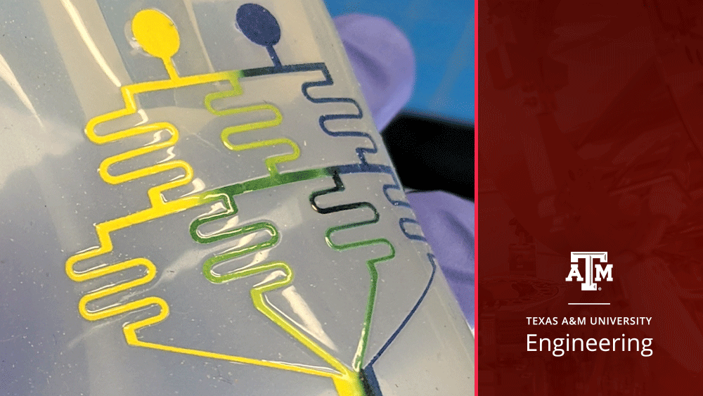 Paper microfluidics device