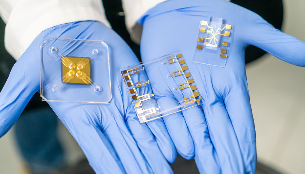 两只手戴着手套，拿着三个芯片组件